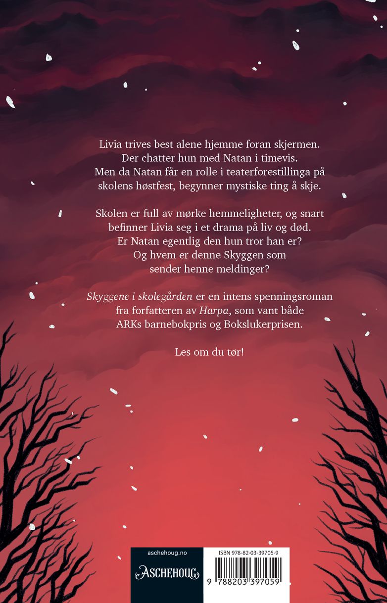 Skyggene i skolegården