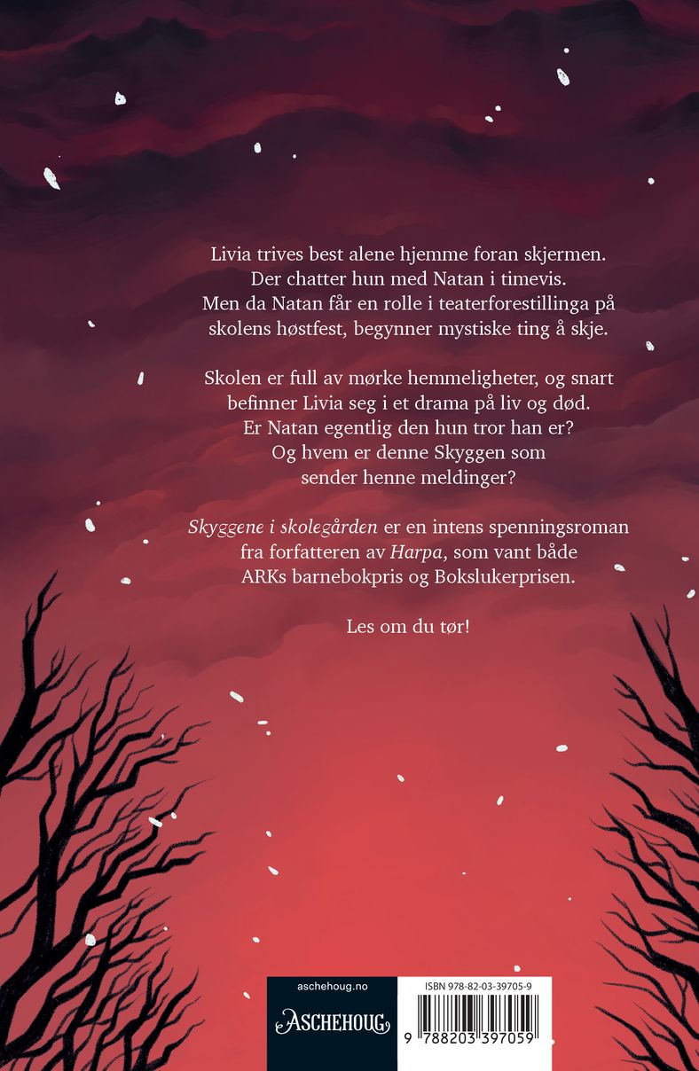 Skyggene i skolegården