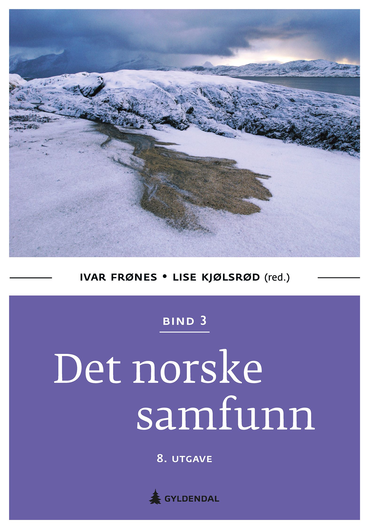 Det norske samfunn - Bind 3