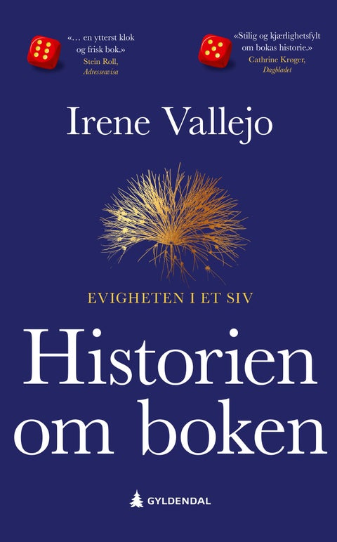 Historien om boken - evigheten i et siv