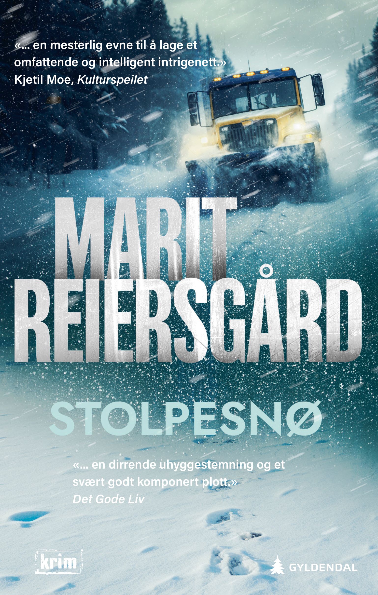 Stolpesnø - kriminalroman