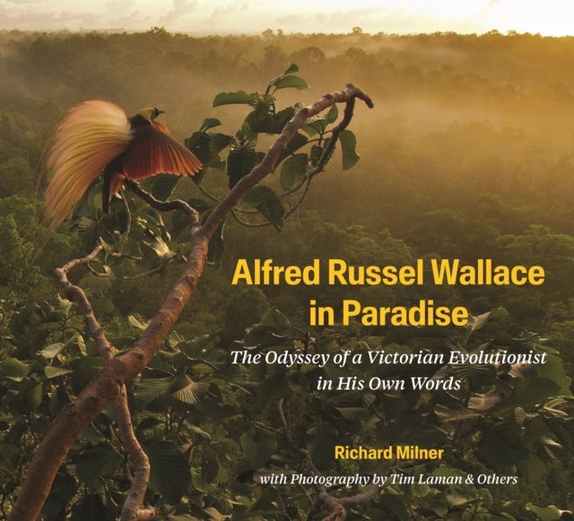 Alfred Russel Wallace in Paradise - The Odyssey of a Victorian Evolutionist in His Own Words