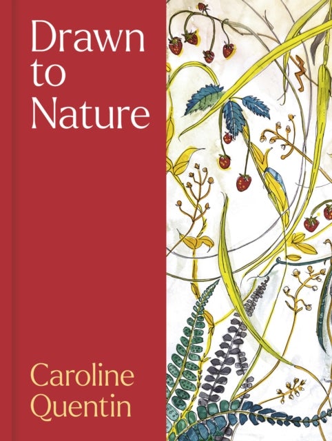 Drawn to Nature