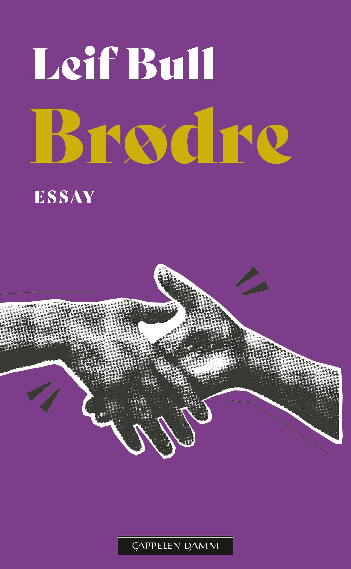 Brødre - et essay