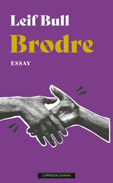 Brødre - et essay
