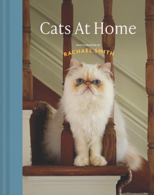 Cats at Home - 50 fabulous felines and the houses they live in