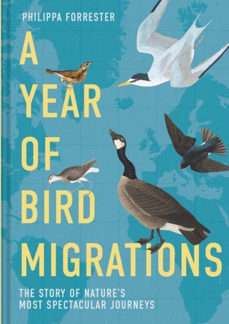 A Year of Bird Migrations - The story of nature's most spectacular journeys
