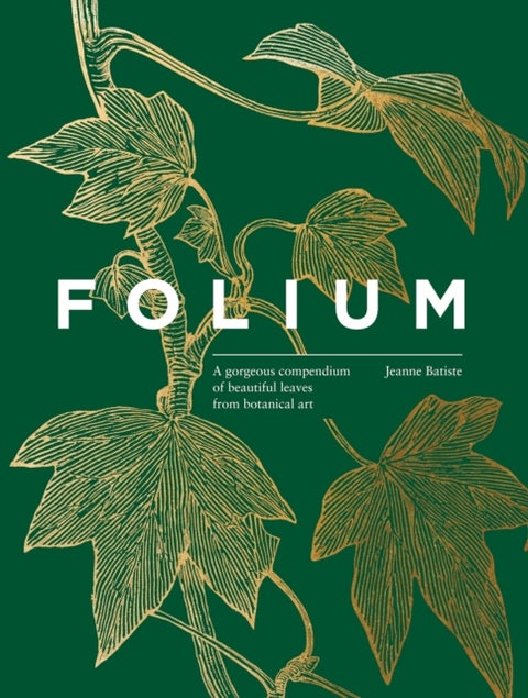 Folium - A gorgeous compendium of beautiful leaves from botanical art