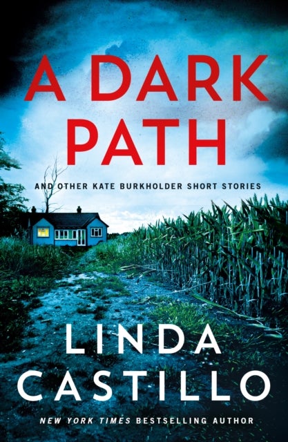 A Dark Path: and Other Kate Burkholder Short Stories