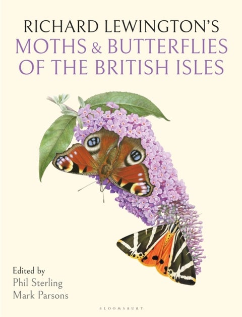 Richard Lewington's Moths & Butterflies of the British Isles