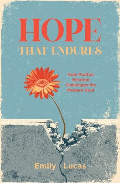 Hope that Endures - How Puritan Wisdom Challenges the Modern Soul