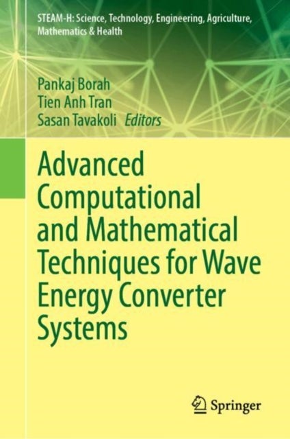 Advanced Computational and Mathematical Techniques for Wave Energy Converter Systems