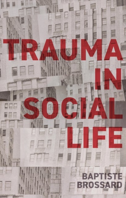 Trauma in Social Life - A Sociology of the Traumatic Imagination