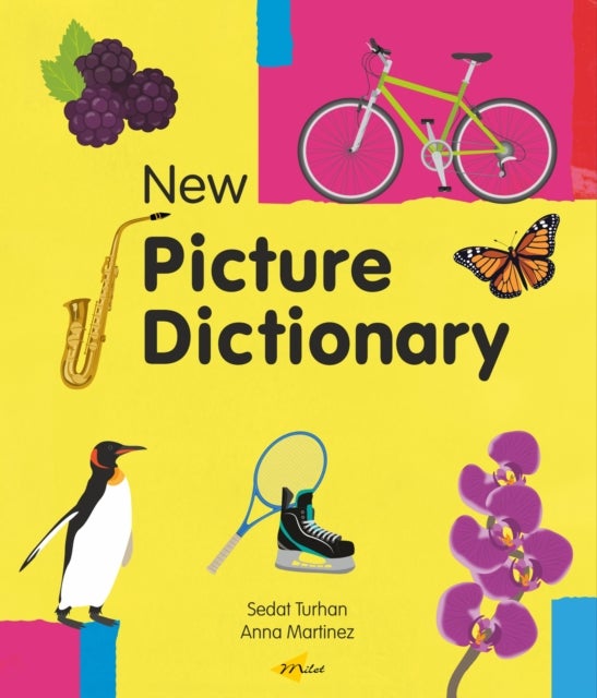 New Picture Dictionary (English)