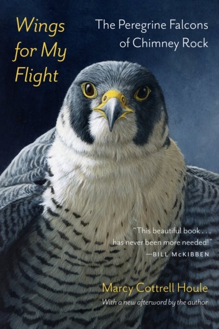 Wings for My Flight - The Peregrine Falcons of Chimney Rock