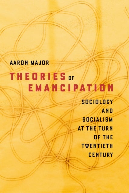 Theories of Emancipation - Sociology and Socialism at the Turn of the Twentieth Century