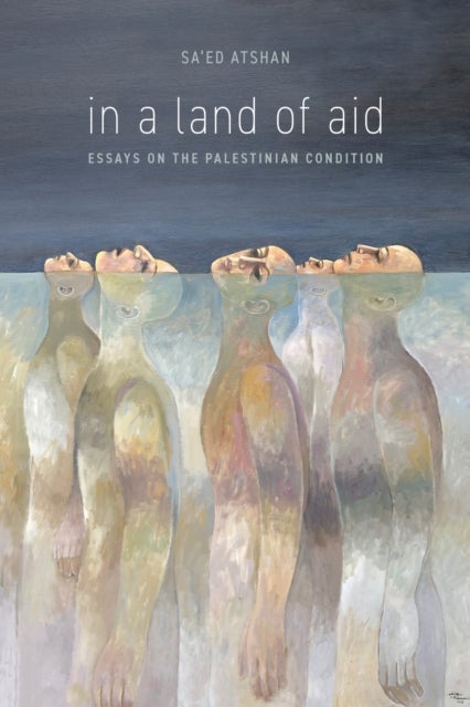 In a Land of Aid - Essays on the Palestinian Condition
