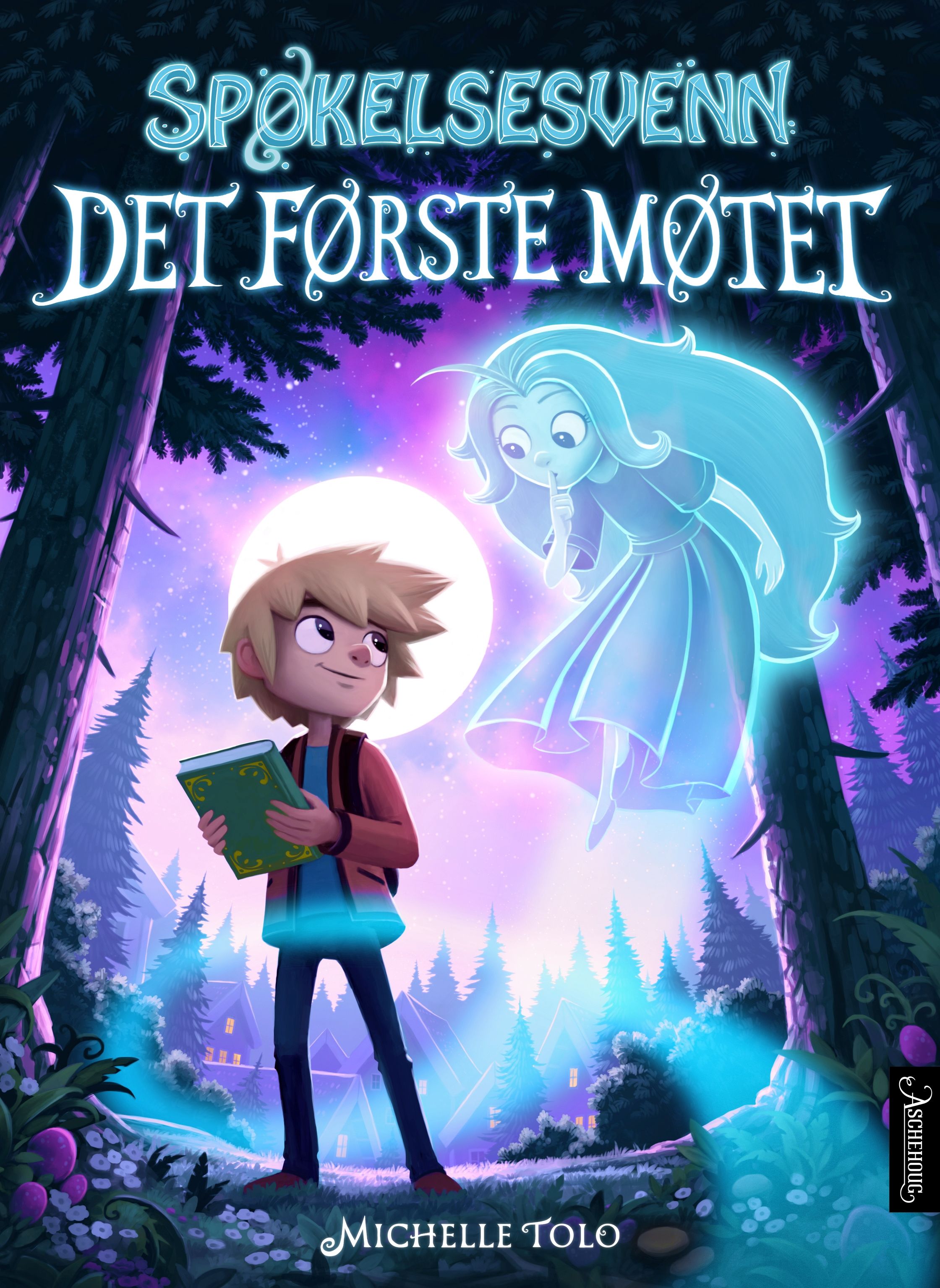 Det første møtet