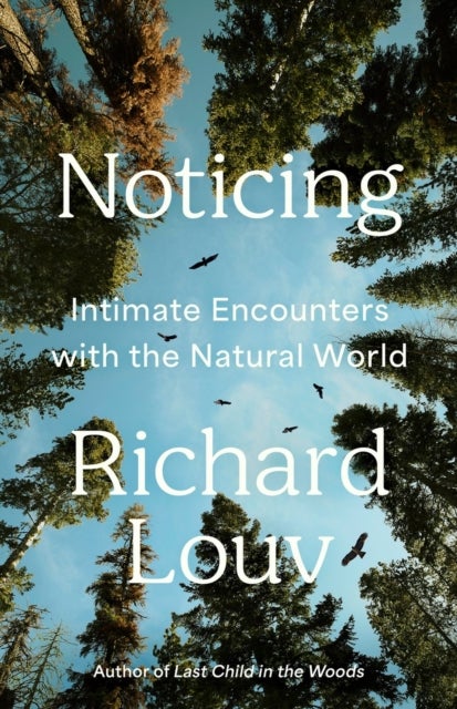 Noticing - Intimate Encounters With the Natural World