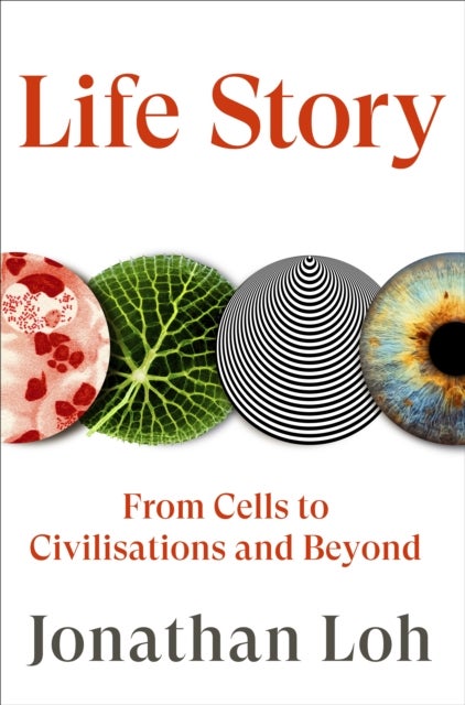 Life Story - From Cells to Civilisations and Beyond