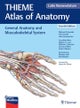 General Anatomy and Musculoskeletal System (THIEME Atlas of Anatomy), Latin Nomenclature