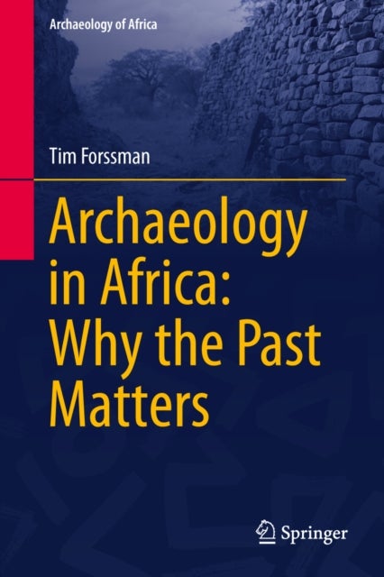 Archaeology in Africa: Why the Past Matters