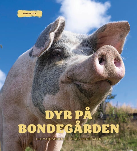 Dyr på bondegården