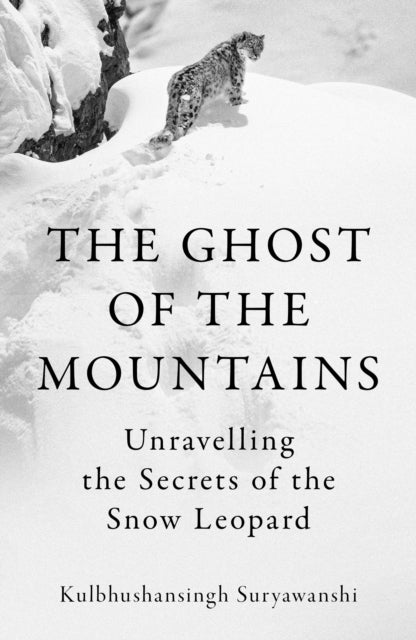 Ghost of the Mountains - Unravelling the Secrets of the Snow Leopard
