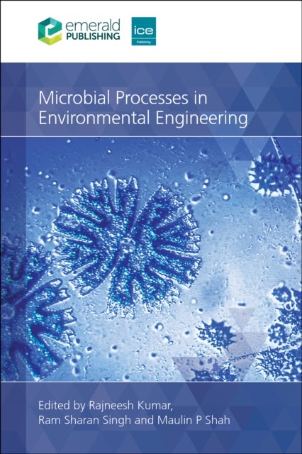 Microbial Processes in Environmental Engineering - From Theory to Practice