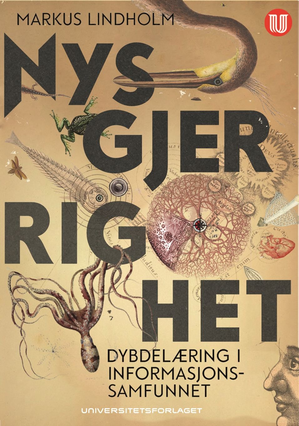Nysgjerrighet - dybdelæring i informasjonssamfunnet