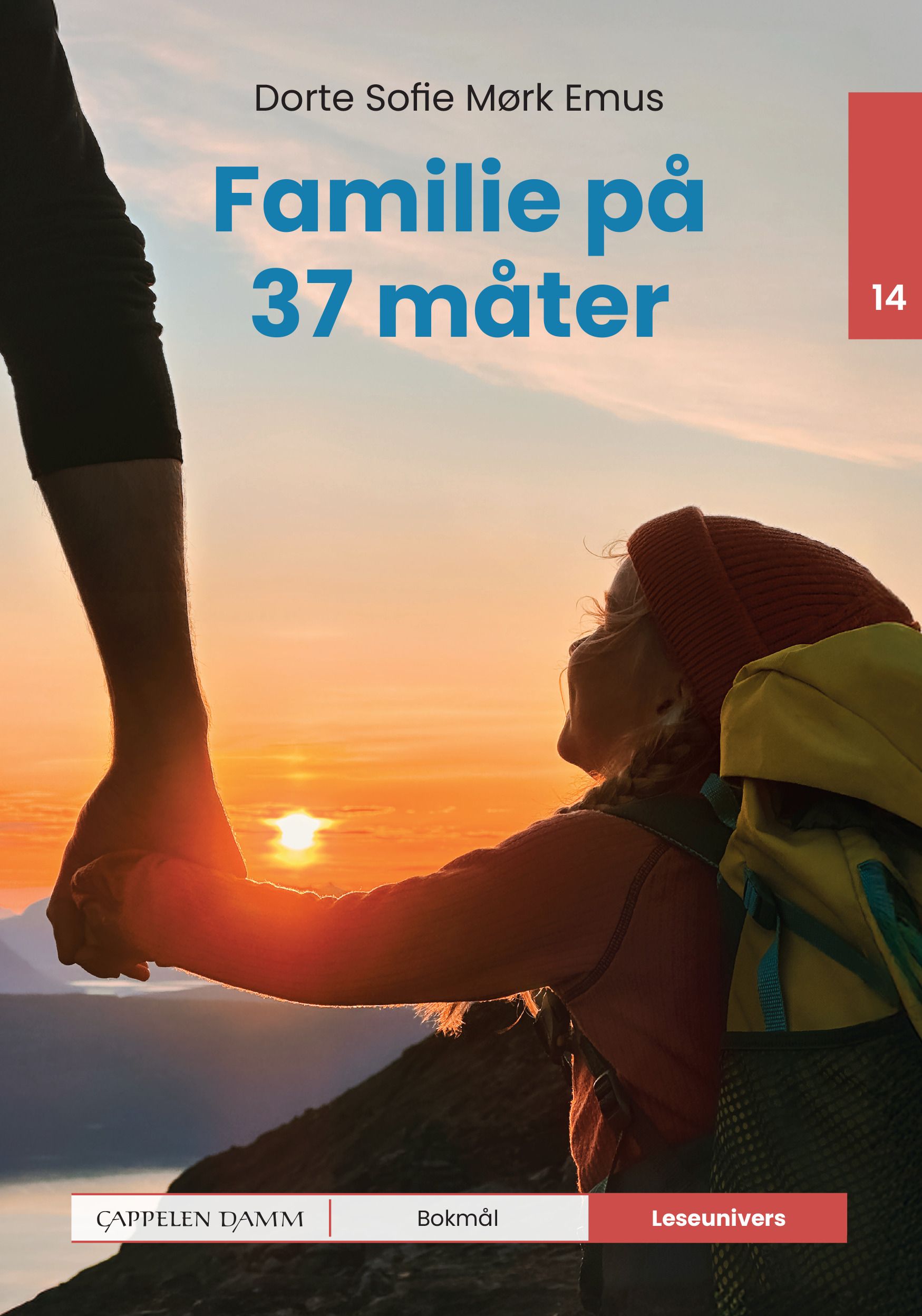 Familie på 37 måter - nivå 14