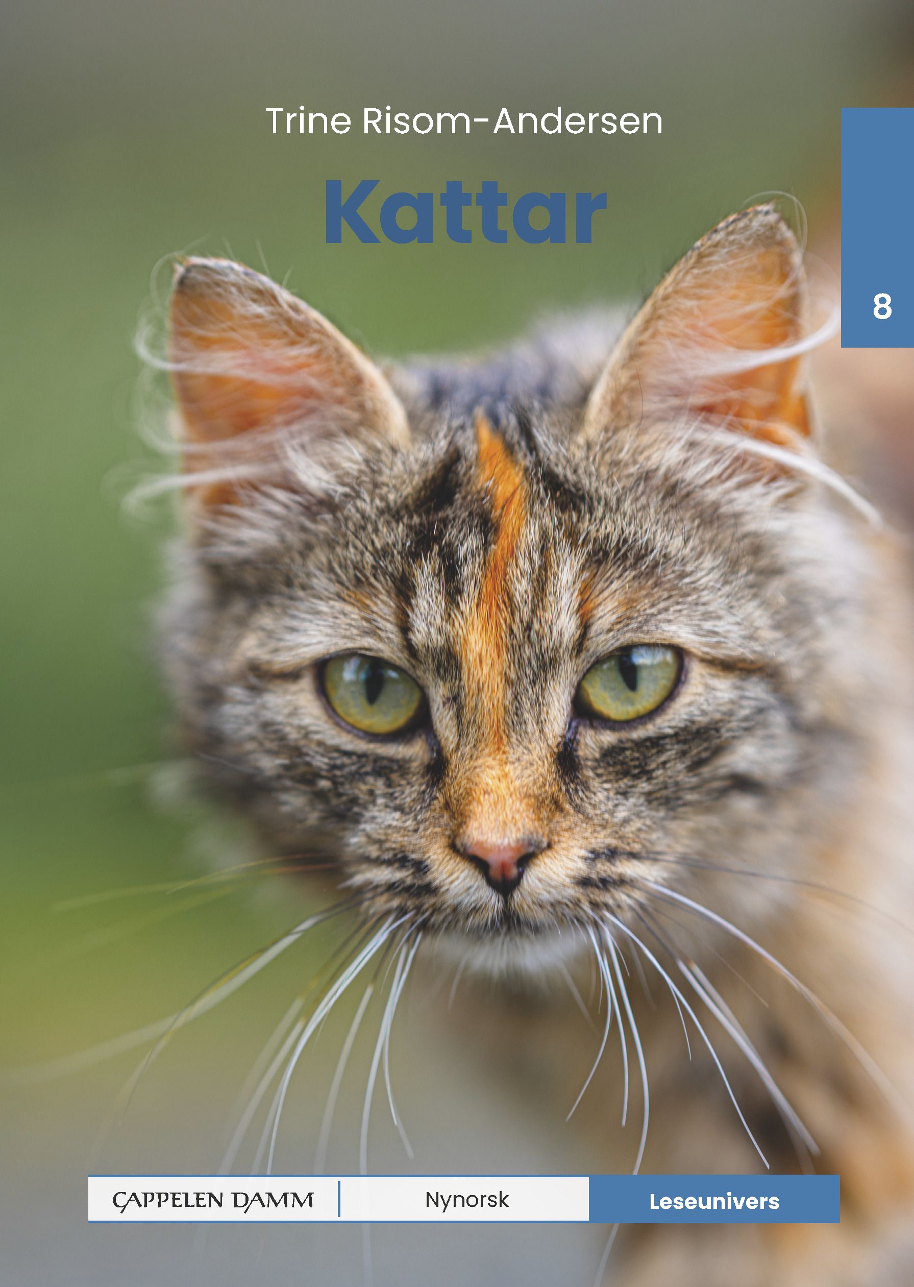 Kattar