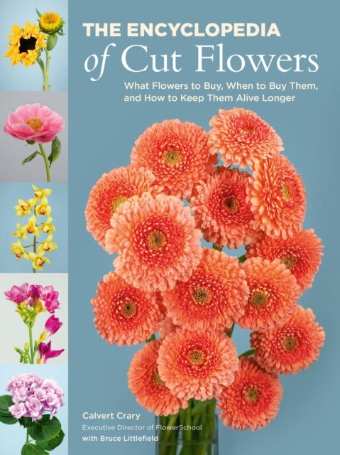 The Encyclopedia of Cut Flowers - What Flowers to Buy, When to Buy Them, and How to Keep Them Alive Longer
