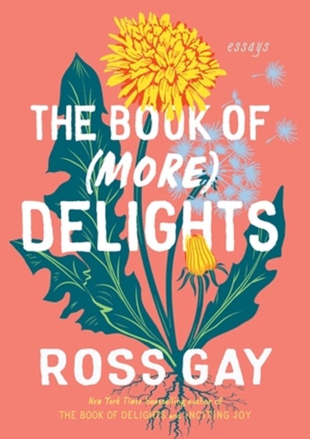 The Book of (More) Delights - Essays