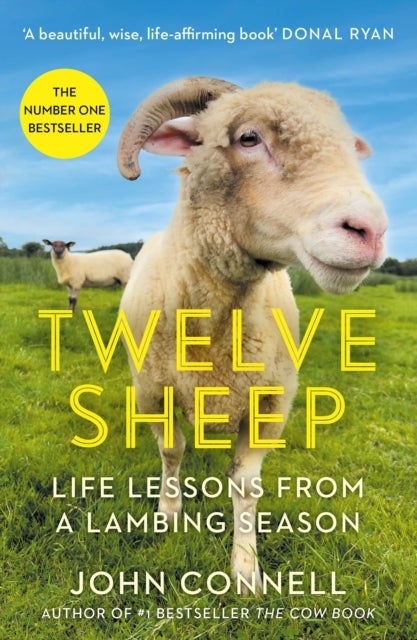 Twelve Sheep - Life lessons from a lambing season