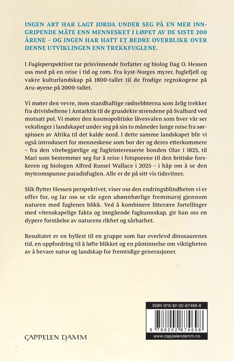 Fugleperspektivet
