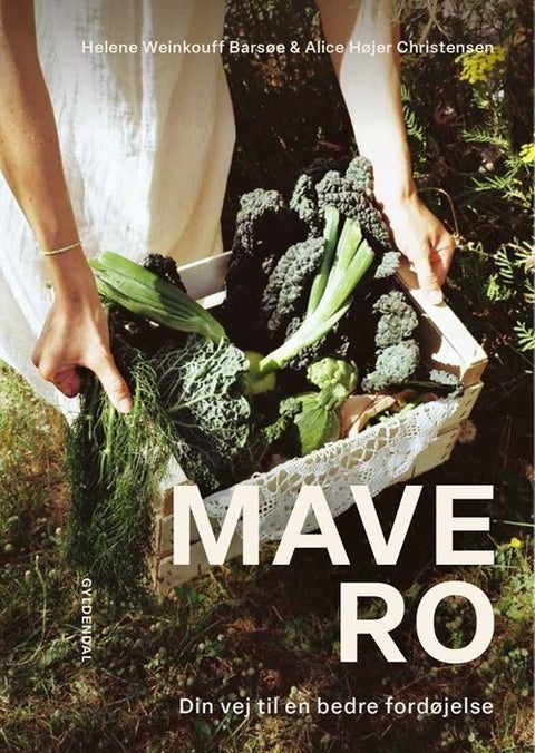 Mavero - Din vej til en bedre fordøjelse