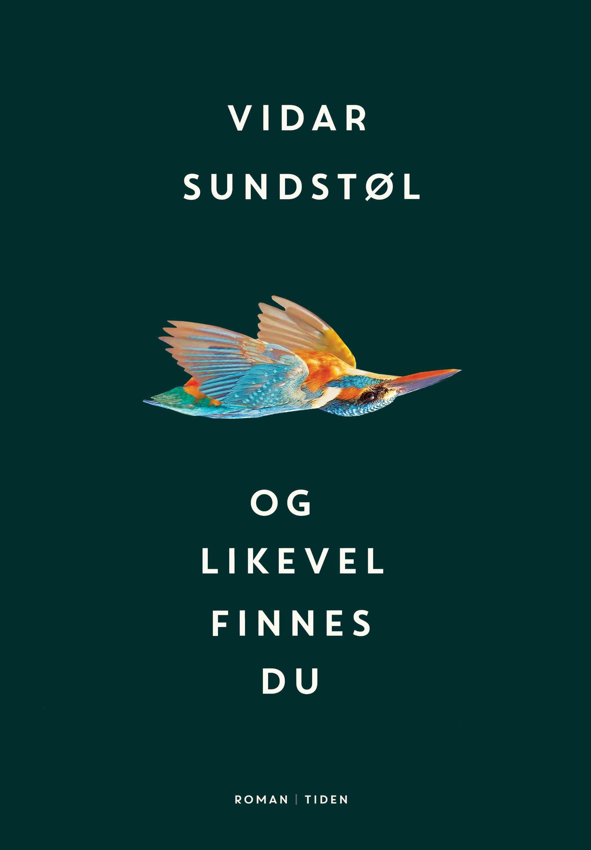 Og likevel finnes du - roman