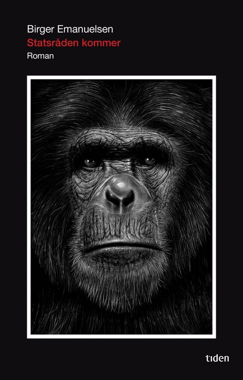 Statsråden kommer - roman