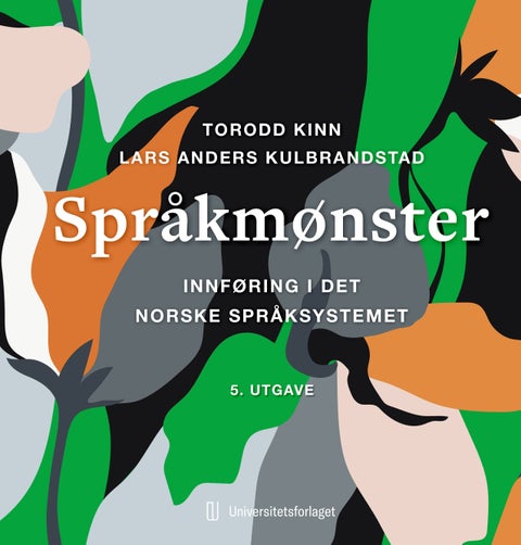 Språkmønster - innføring i det norske språksystemet