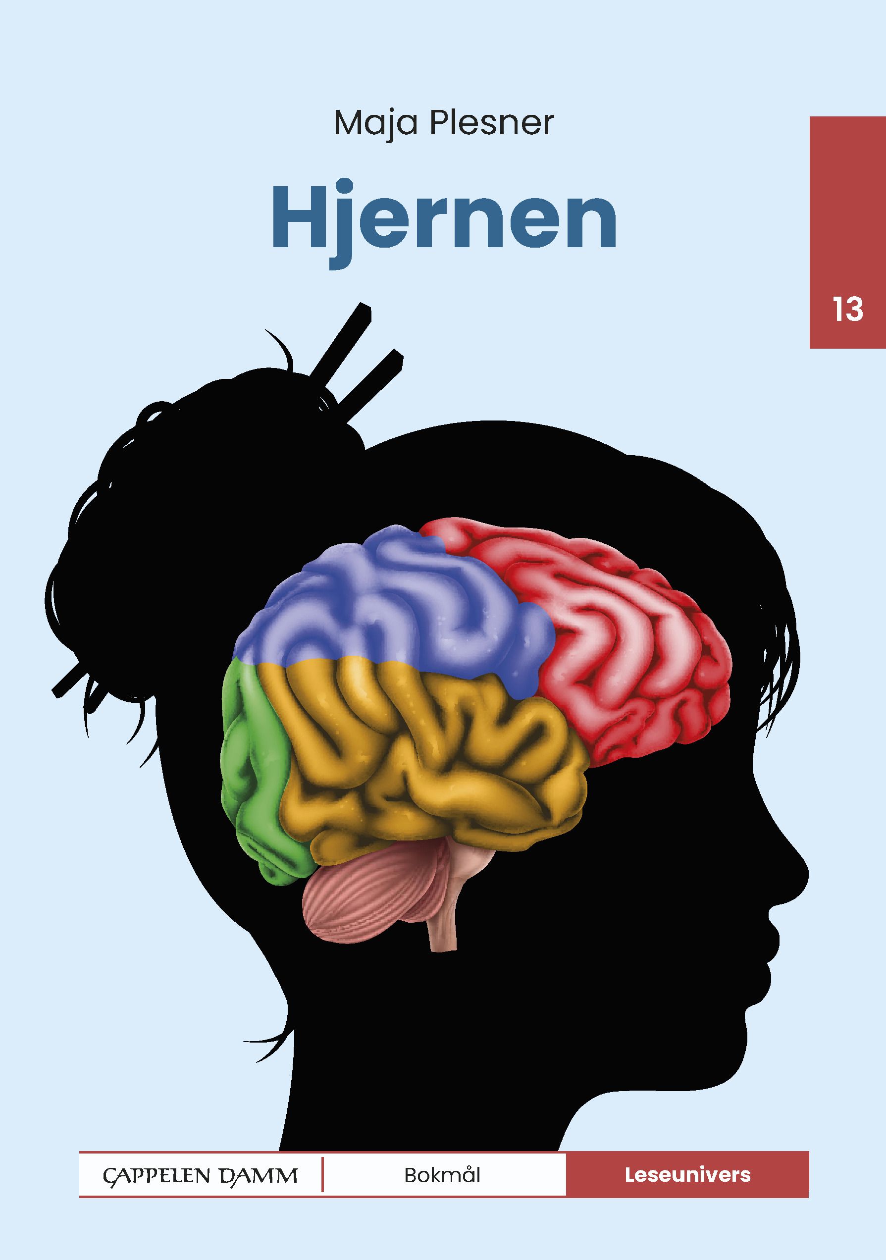 Hjernen