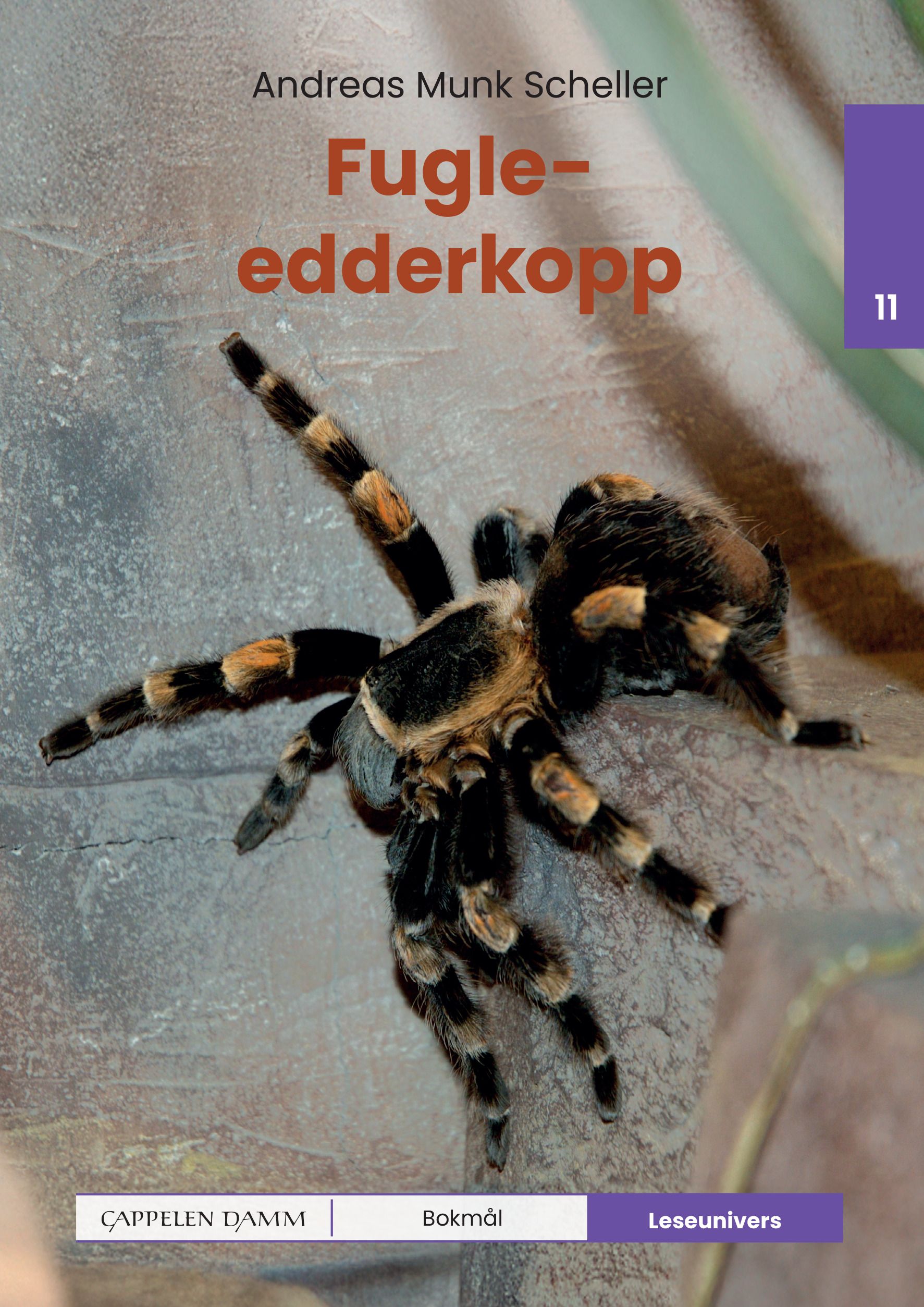 Fugleedderkopp - nivå 11