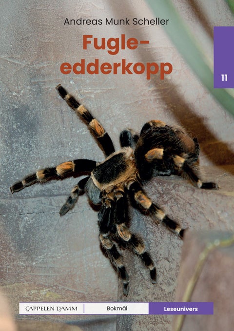 Fugleedderkopp - nivå 11