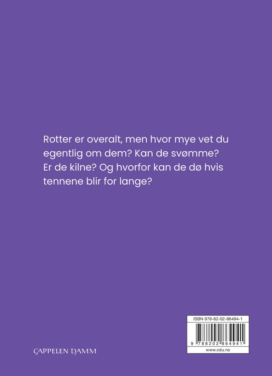 Rotte