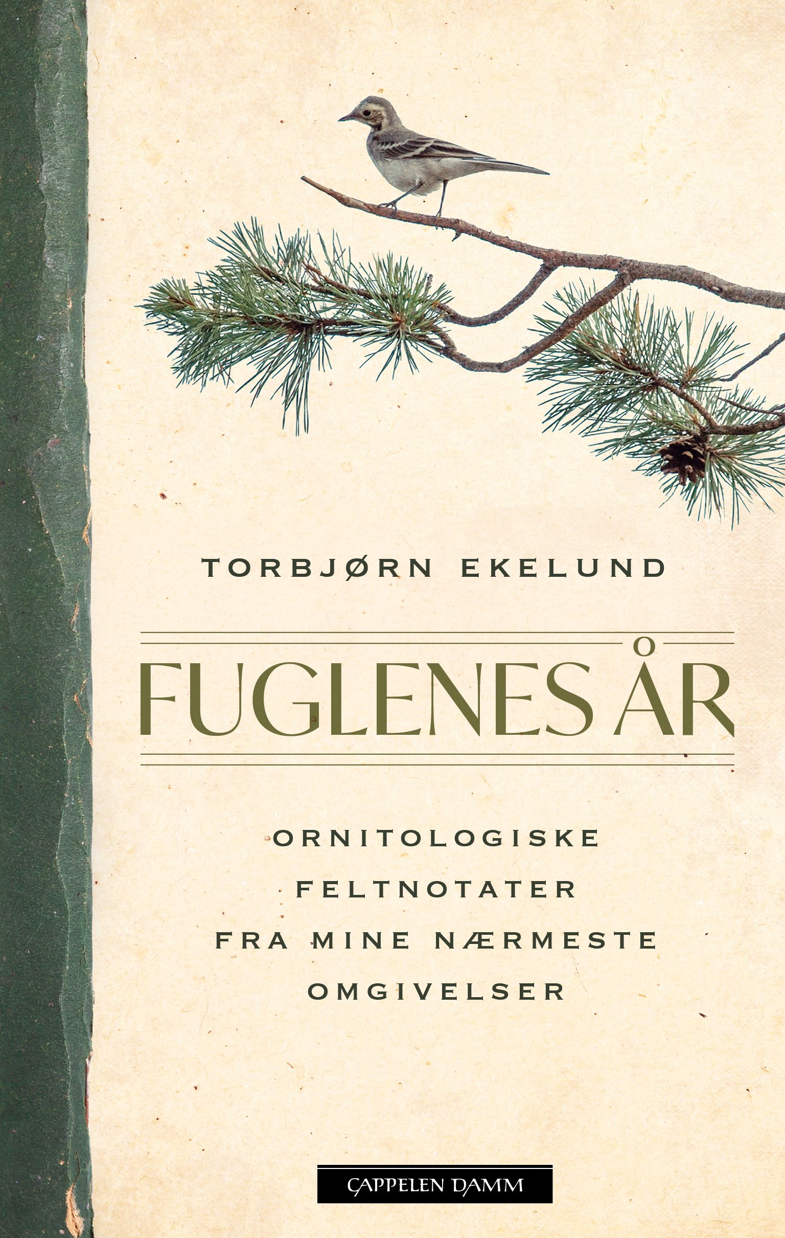 Fuglenes år - ornitologiske feltnotater fra mine nærmeste omgivelser