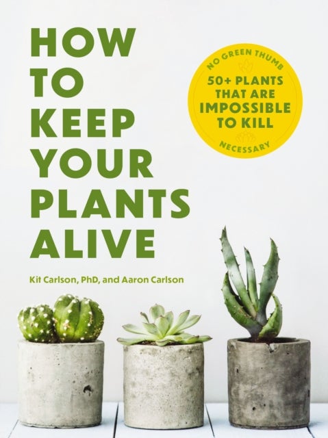 How to Keep Your Plants Alive - 50 Plants That Are Impossible to Kill