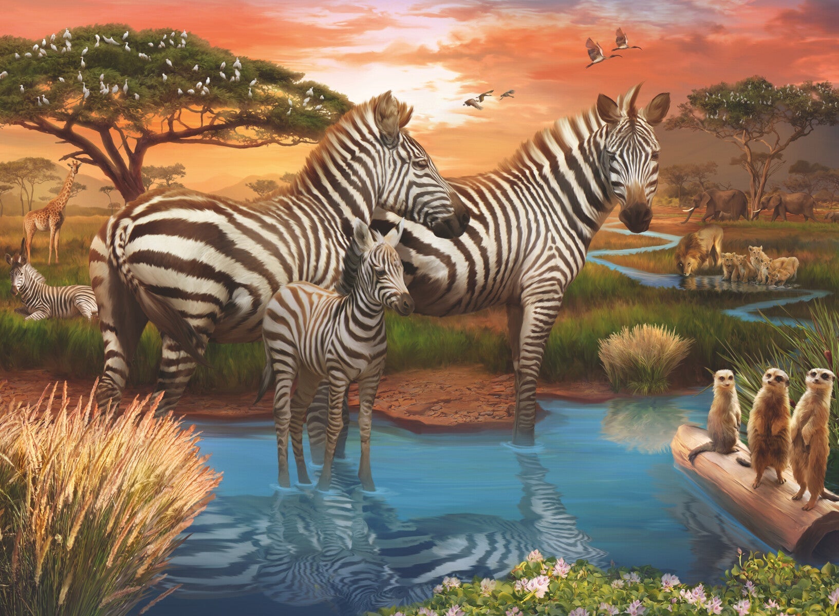 Puslespill 500 Sebraer Ravensburger