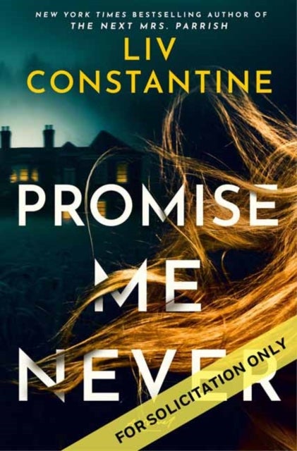 Promise Me Never - A Novel