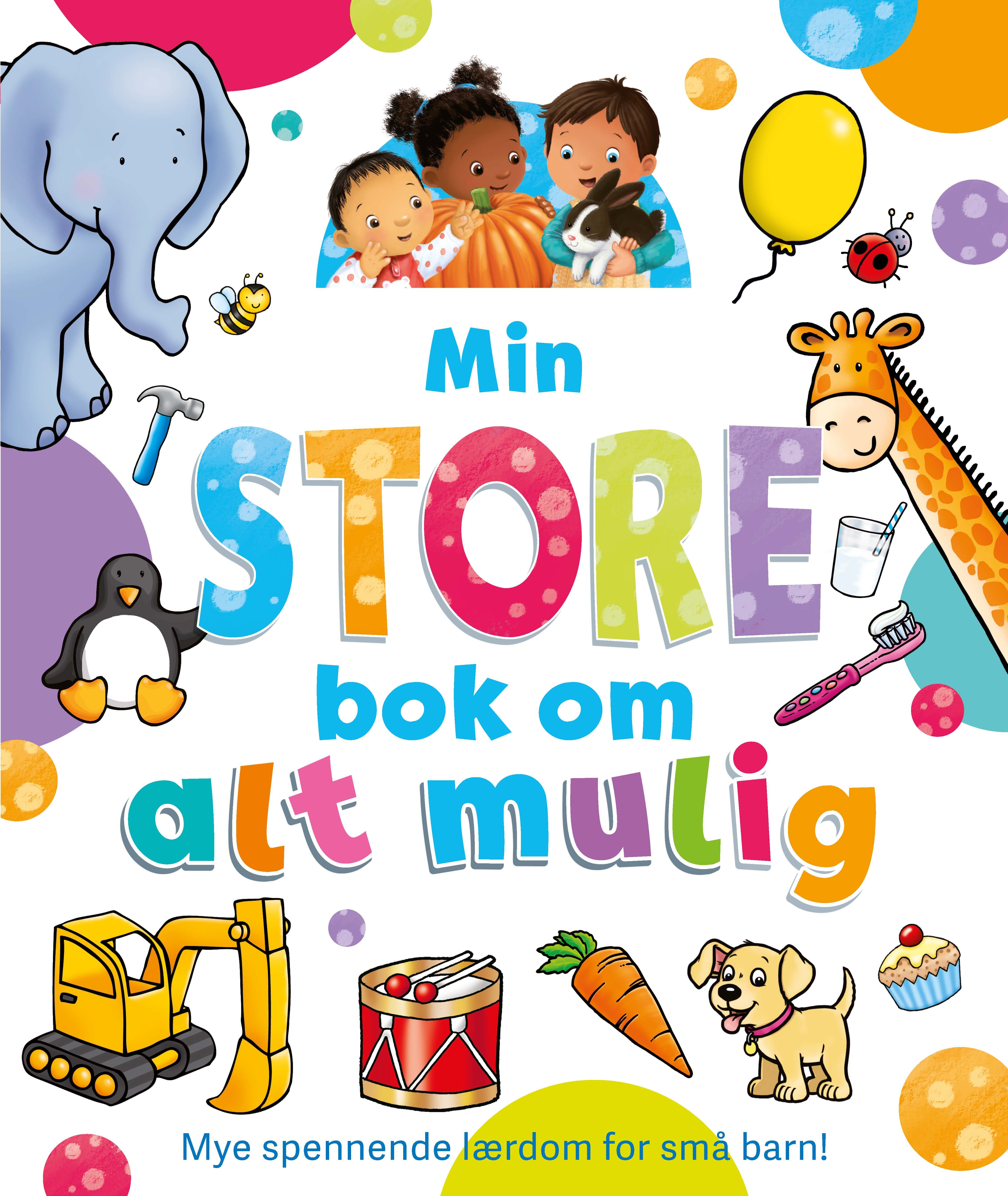 Min store bok om alt mulig