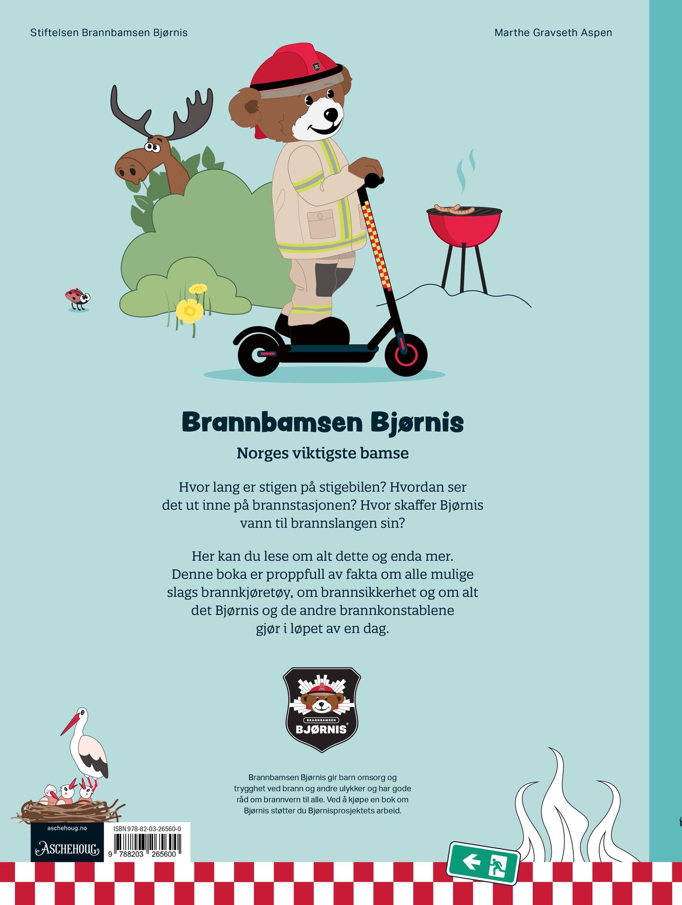 Den kjempestore Bjørnis-boka